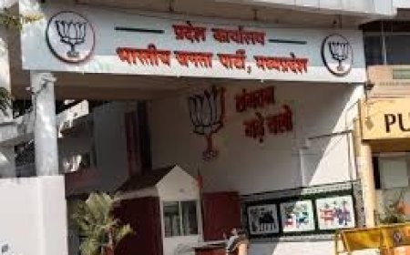 भाजपा को कांग्रेस से नहीं खुद से चुनाव लड़ने की करनी होगी तैयारी भाजपा के नेता ही होंगे पार्टी के लिए चुनौती