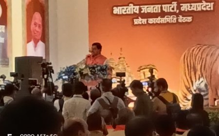 किसानों को दिन में भी मिलेगी बिजली सीएम मोहन यादव की बड़ी घोषणा जोरदार 'अभिनंदन' करें