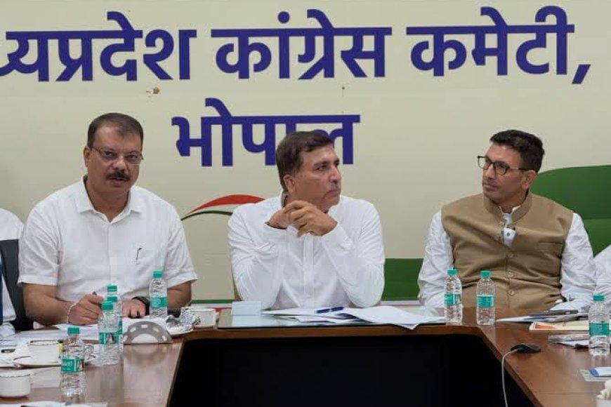 दतिया की तरह क्लस्टर और बूथ प्रबंधन का माडल नगरीय निकाय चुनाव में अपनाएगी कांग्रेस रीवा में राहुल गांधी की होगी सभा